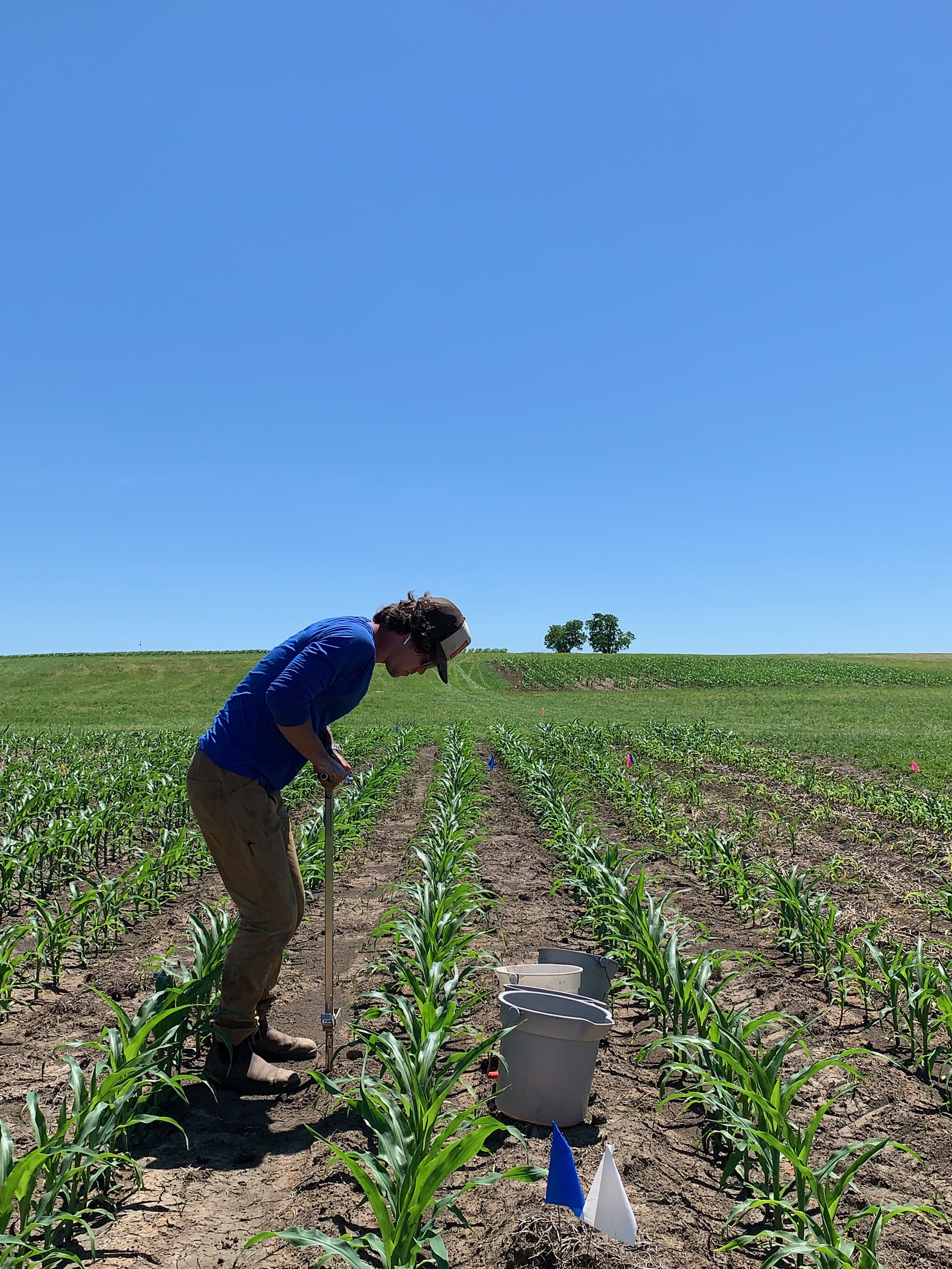 Sam in the field